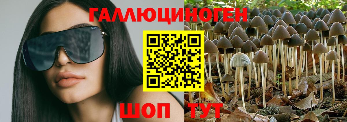 Галлюциногенные грибы мицелий  Вход с VPN  Сорочинск 